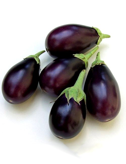 Medicinal uses of brinjal - Sanatan Sanstha