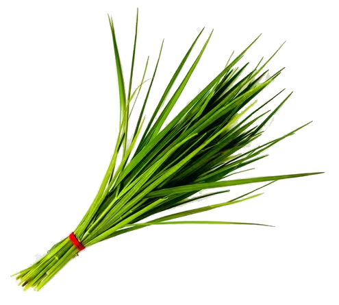 bunch of durva grass blades