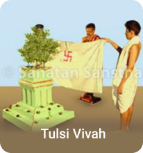 tulsi_vivah_small