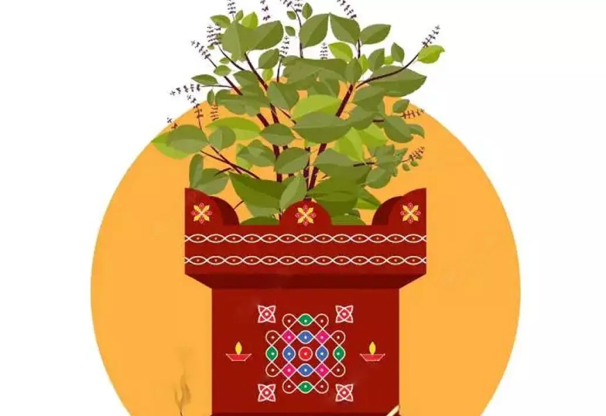 tulsi_vivah